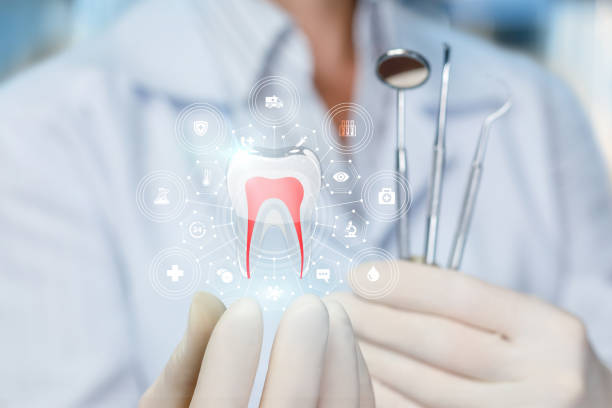 Best Root Canal Treatment  in Edmonds, WA